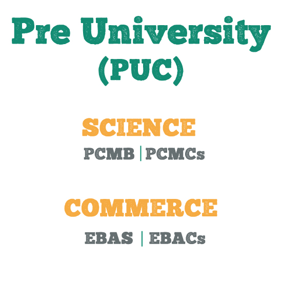 Pre University (PUC)